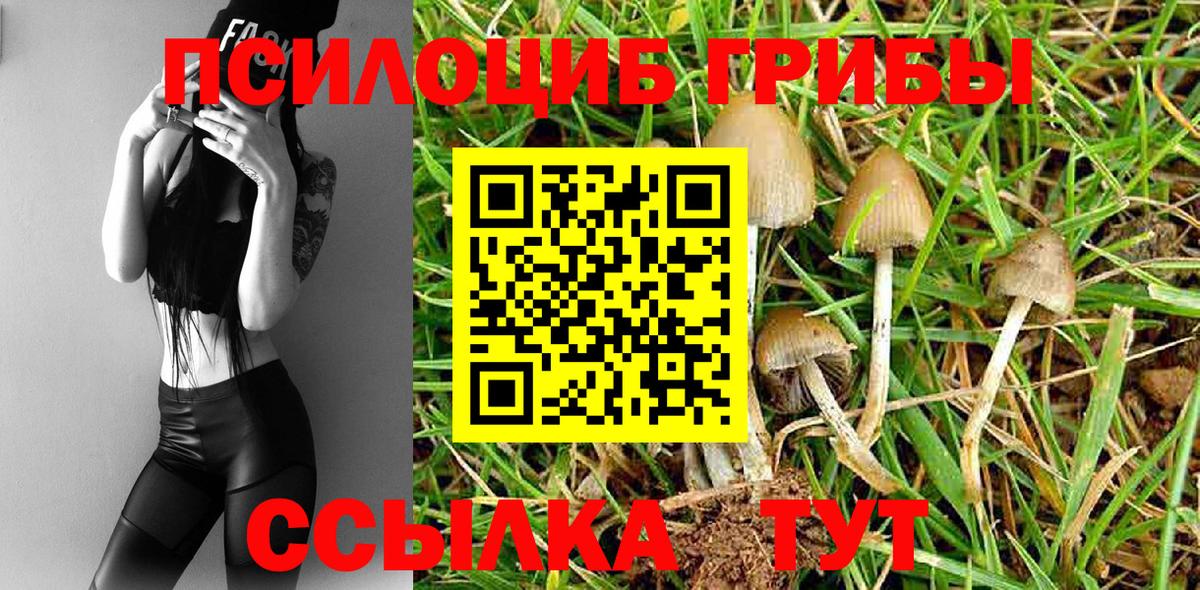Первоуральск  Галлюциногенные грибы Psilocybe  Псилоцибиновые грибы MAGIC MUSHROOMS  Вход с VPN 
